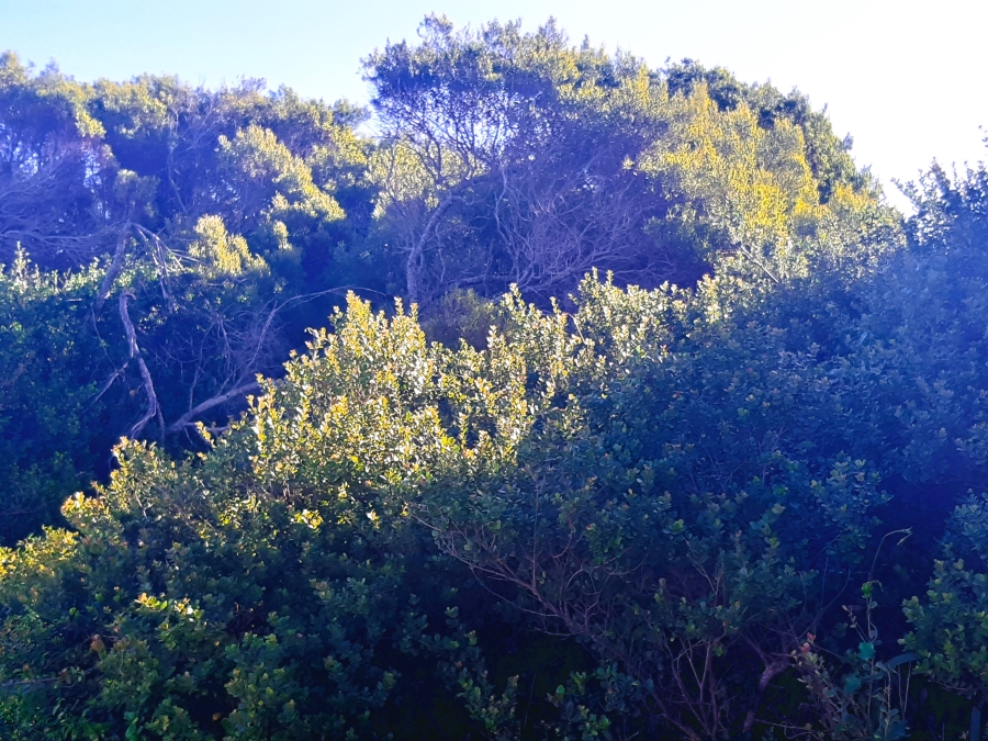 0 Bedroom Property for Sale in Paradise Beach Eastern Cape